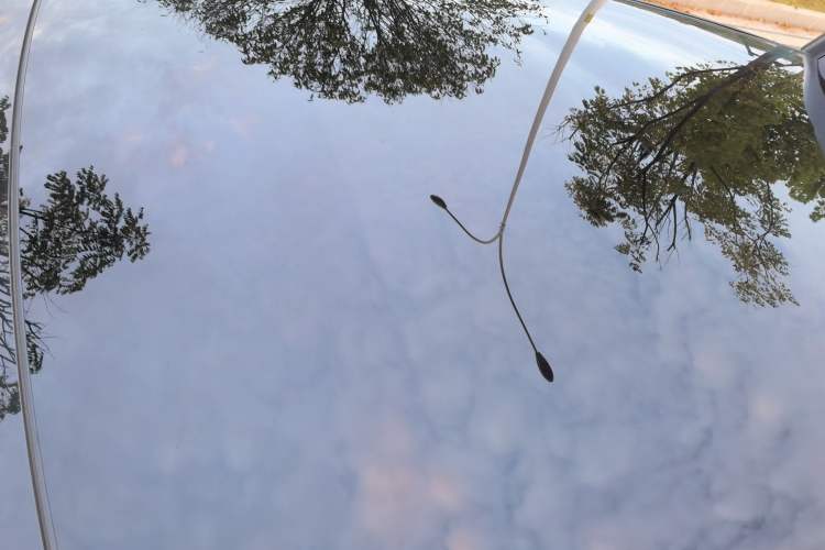 Used Denza Z9GT 2024 1100 Four-Wheel Drive Ultra Version