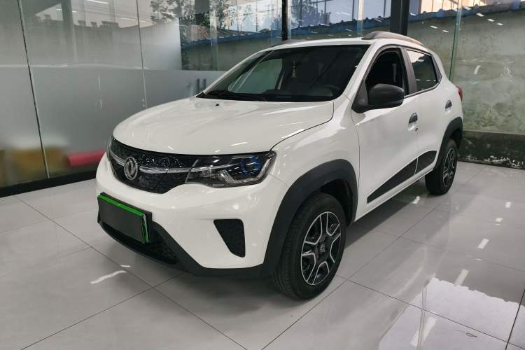 Used Dongfeng NAMMI EX1 2023 PRO Light Wind Edition Lightning Model