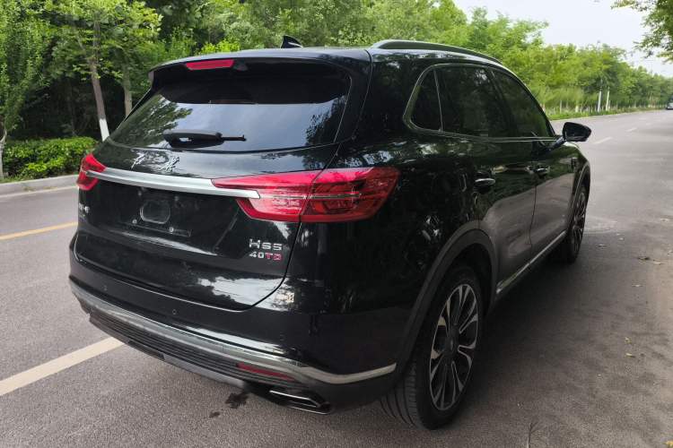 Used Hongqi HS5 2019 2.0T Smart Connect Flagship All-Wheel-Drive Version Exterior 1