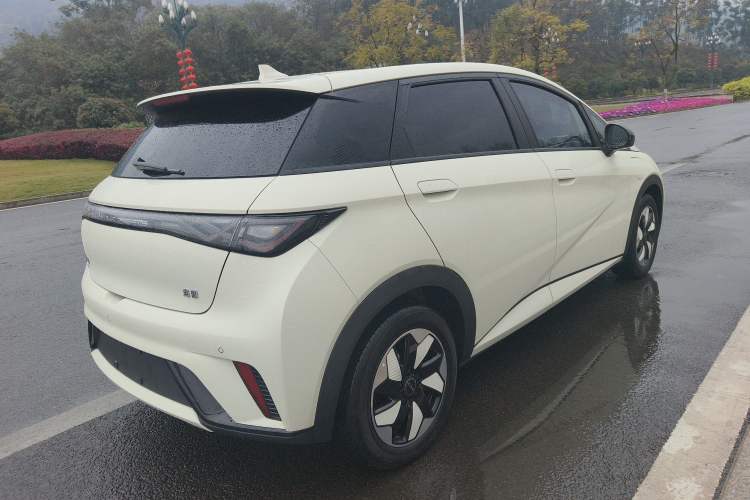 Used BYD Dolphin 2024 Honor Edition 420km Fashion Version