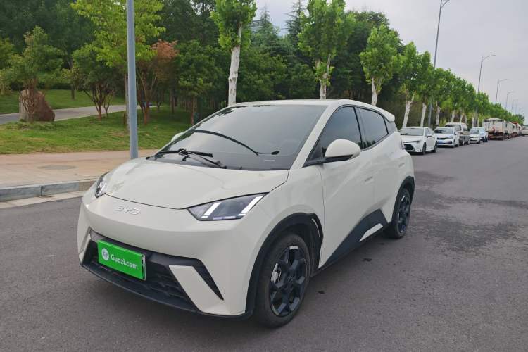 Used BYD Seagull 2025 305 km Free Version