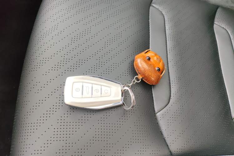 Used Geely Auto Preface 2023 2.0TD "Only This Verdant Green" Edition Interior 1