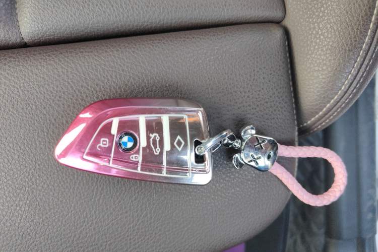 Used BMW X1 2020 sDrive20Li Premium Edition