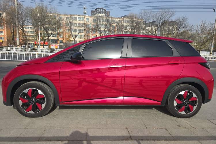 Used BYD Dolphin 2025 420km Free Edition
