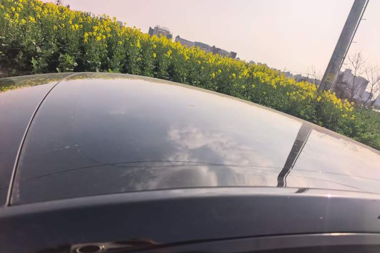 Used Tesla Model Y 2023 Rear-Wheel-Drive Version