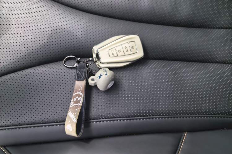 Used Geely Auto Monjaro L 2024 2.0TD DCT EVO Two-Wheel Drive Long-Range Version
