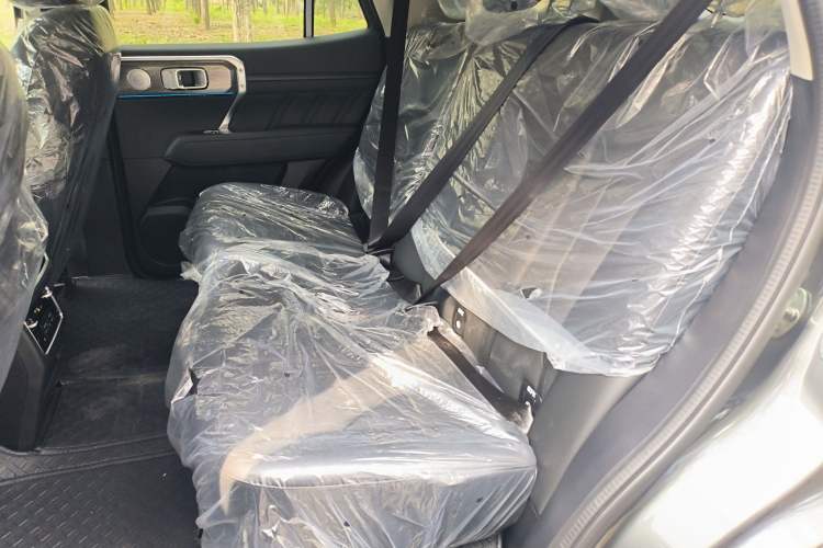 Used Tank 400 2025 2.0T Gasoline Version