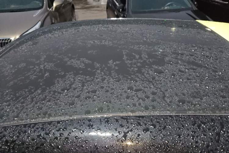 Used firefly firefly 2025 Illuminated Edition
