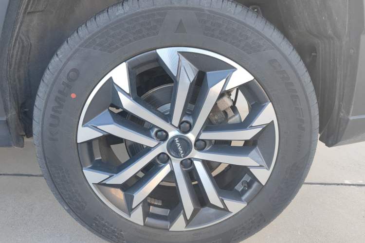 Used Haval H Dog 2023 2.0T Two-Wheel Drive Chaoye Version Plus