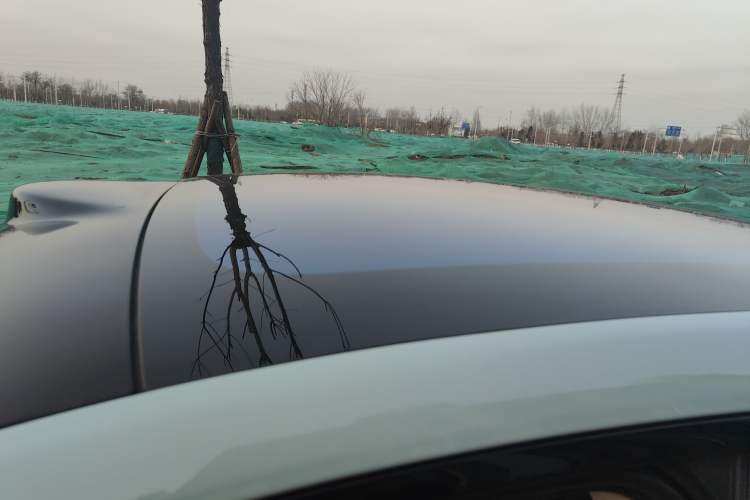 Used IM LS6 2023 Max Standard Edition