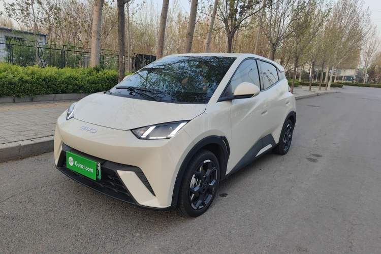 Used BYD Seagull 2025 405 km Flying Edition