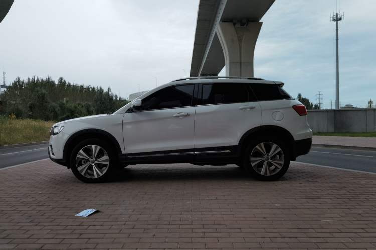 Used Haval H6 Coupe 2016 Blue-Label Diesel 2.0T Manual Two-Wheel Drive Elite Model China IV Standard
