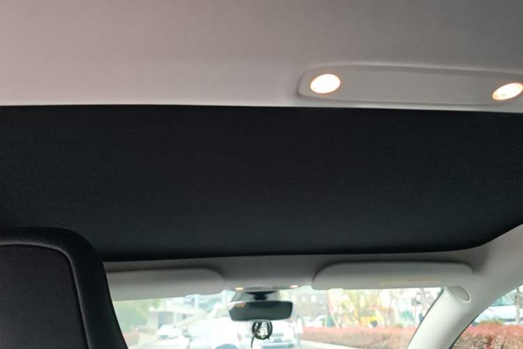 Used Tesla Model 3 2021 Standard Range Rear-Drive Upgraded Version Headliner