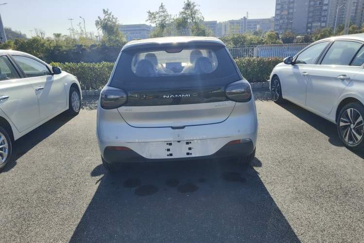 Used Dongfeng NAMMI 01 2024 330 Air
