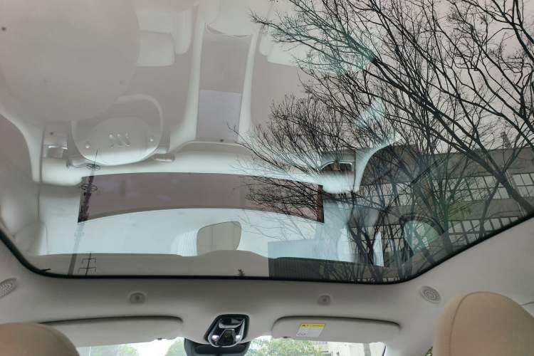 Used IM LS6 2023 Max Long-Range Version
