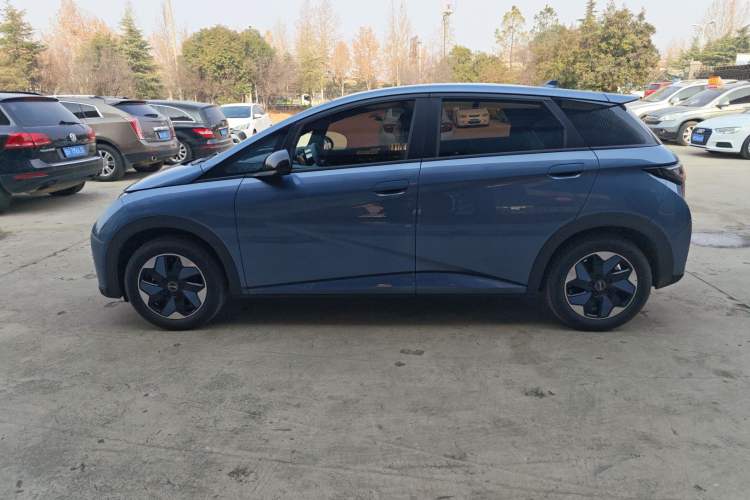 Used BYD Dolphin 2025 420km Free Edition
