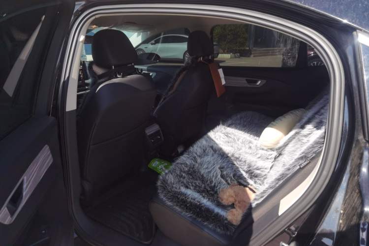 Used Hongqi E-QM5 2023 560km PLUS Interior 4