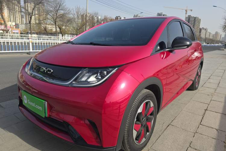 Used BYD Dolphin 2025 420km Free Edition