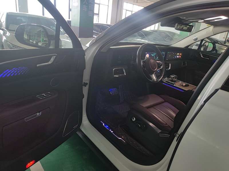 Used Hongqi E-HS9 2021 510 km Range Flagway Edition Six Seats — 18