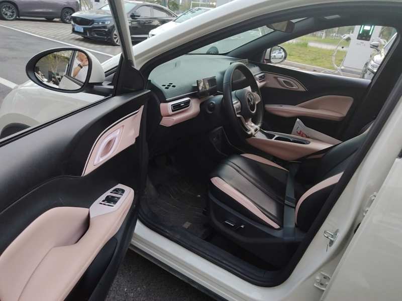 Used BYD Seagull 2025 305 km Free Version — 13