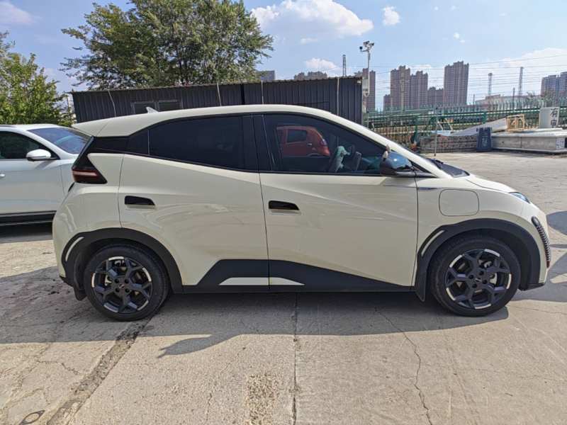 Used BYD Seagull 2025 305 km Free Version — 18