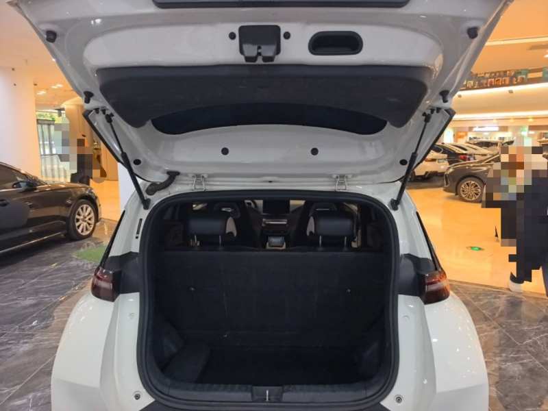 Used BYD Seagull 2023 Free Edition — 21