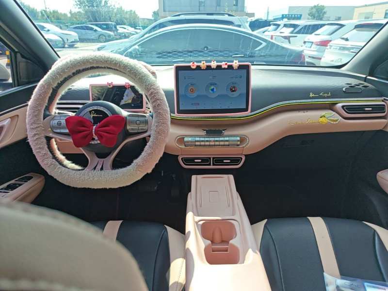 Used BYD Seagull 2025 305 km Free Version — 6