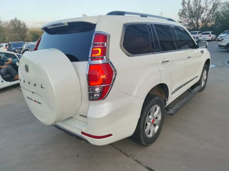 Used Haval H9 2020 2.0T Gasoline 4WD Premium Edition 5 Seats — 7