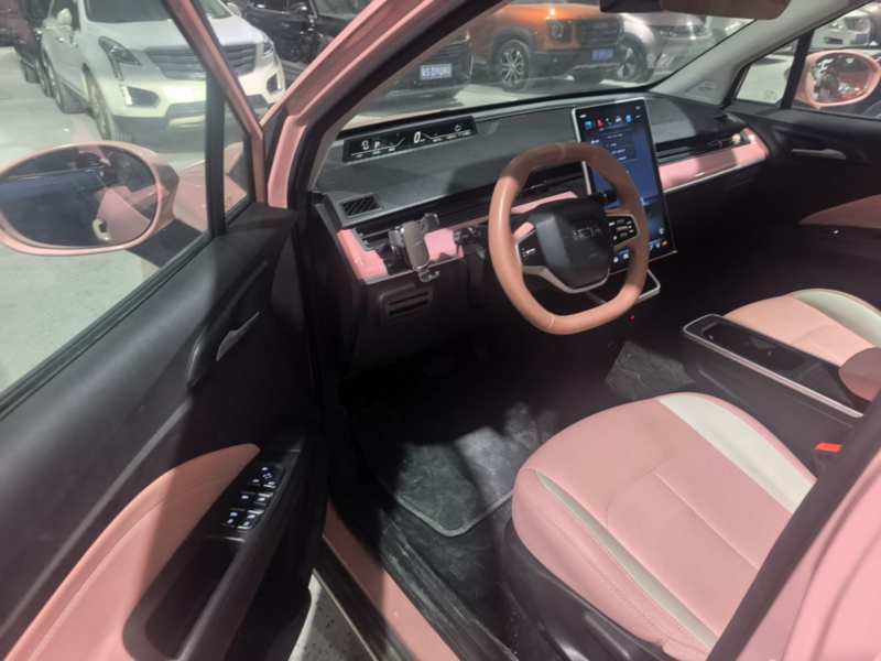 Used NETA V 2022 Chao 400 Lite Pink Custom Edition — 18