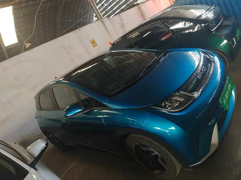 Used BYD Dolphin 2021 405 km Fashion Edition — 25