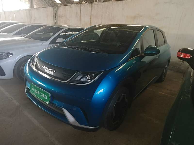 Used BYD Dolphin 2021 405 km Fashion Edition — 1