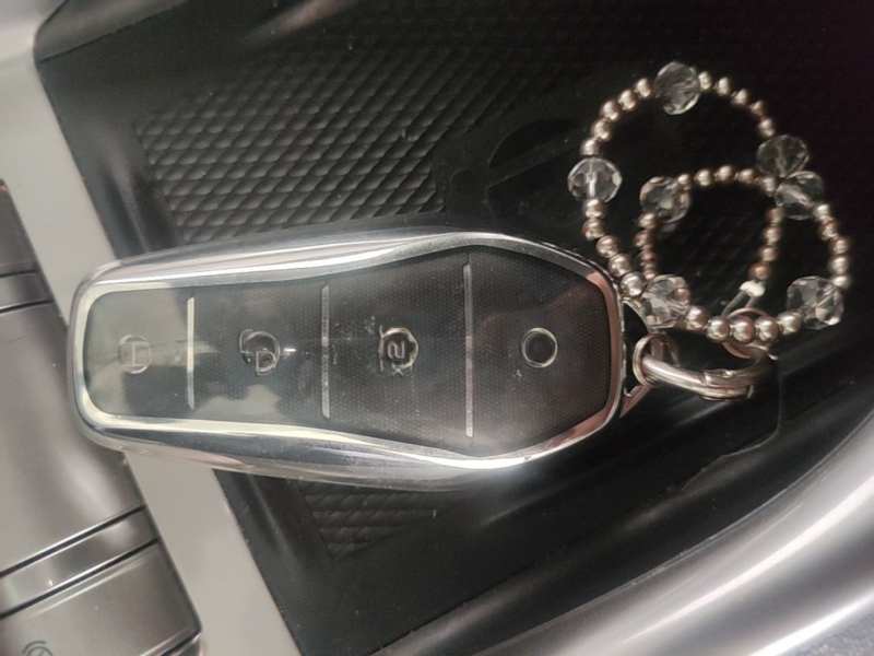 Used BYD Dolphin 2021 401km Knight Edition — 10