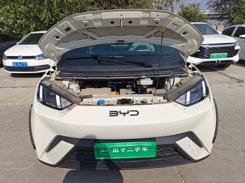 Used BYD Seagull 2025 305 km Free Version — 17