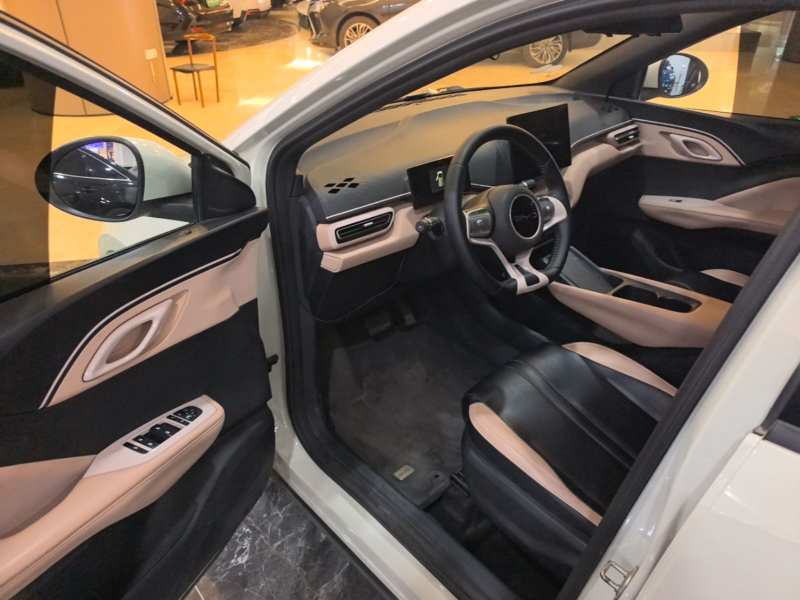 Used BYD Seagull 2023 Free Edition — 18