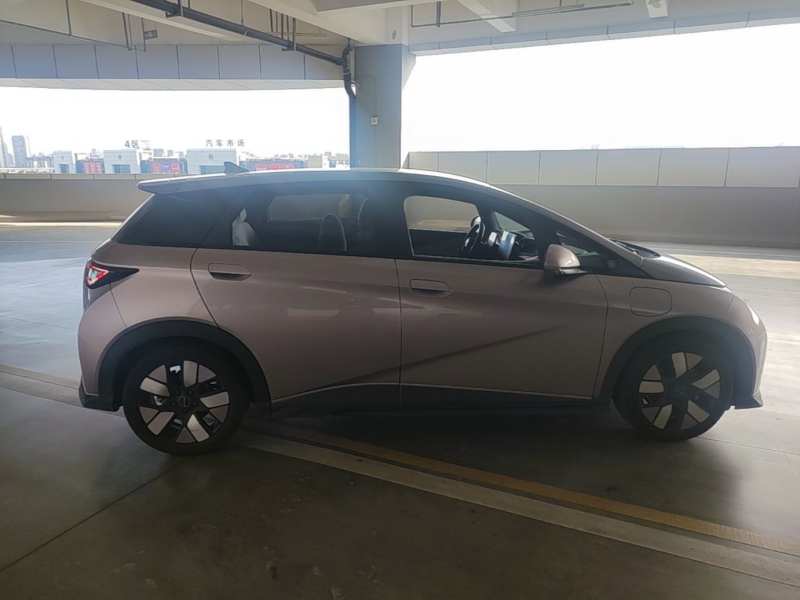Used BYD Dolphin 2021 401km Knight Edition — 25