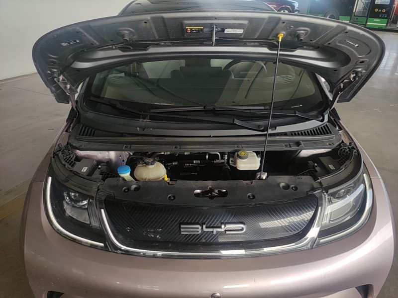 Used BYD Dolphin 2021 401km Knight Edition — 22