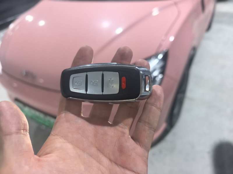 Used NETA V 2022 Chao 400 Lite Pink Custom Edition — 10
