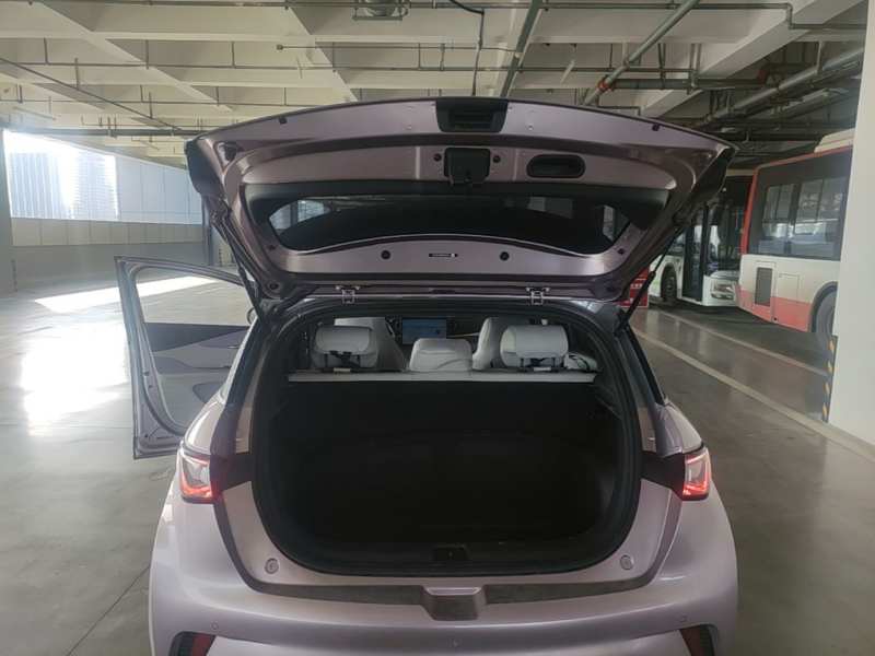 Used BYD Dolphin 2021 401km Knight Edition — 21