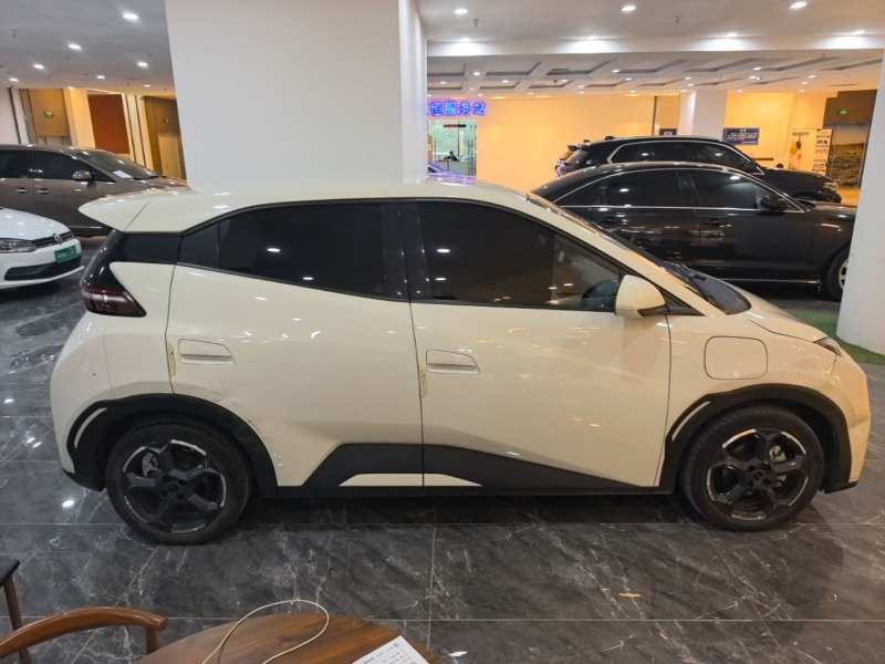 Used BYD Seagull 2023 Free Edition — 25