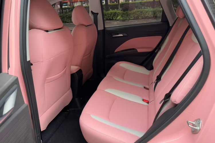 Used NETA V 2021 Witch Edition