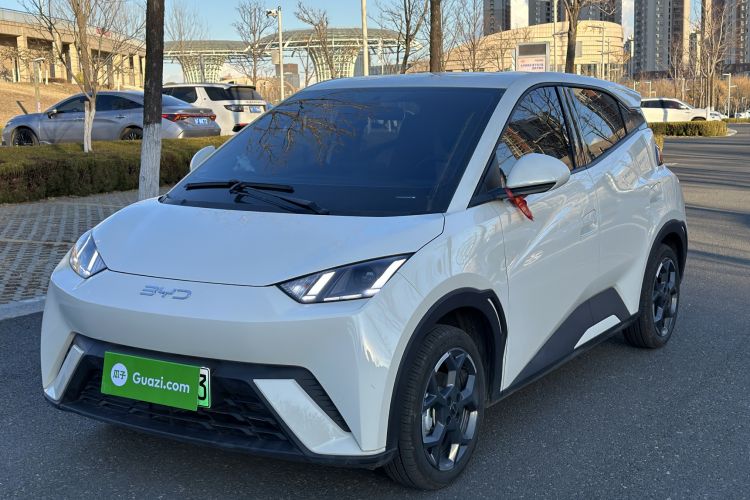 Used BYD Seagull 2025 305 km Free Version