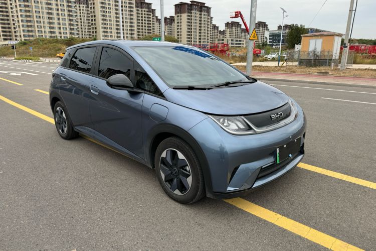 Used BYD Dolphin 2024 Honor Edition 420km Freedom Version