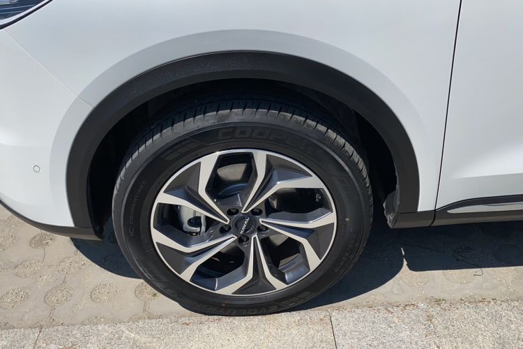 Used Haval Fierce Dragon Max 2023 1.5L Hi4 105 Four-Wheel Drive Smart Flagship Edition