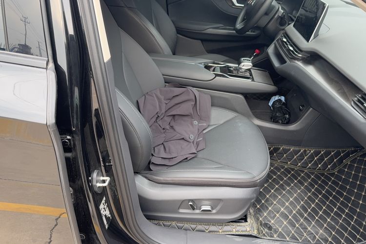 Used Hongqi E-QM5 2021 Charging Flagship Edition Right Front Seat