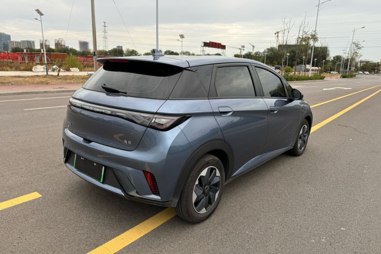 Used BYD Dolphin 2024 Honor Edition 420km Freedom Version