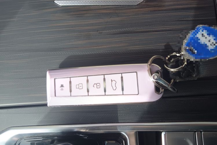 Used Wey Latte DHT-PHEV 2022 1.5T Two-Wheel-Drive Extra-Large Version
