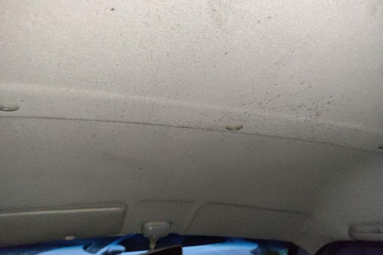 Used Dongfeng Xiaokang K05S 2019 1.2L Practical Version China VI Standard DK12 Headliner