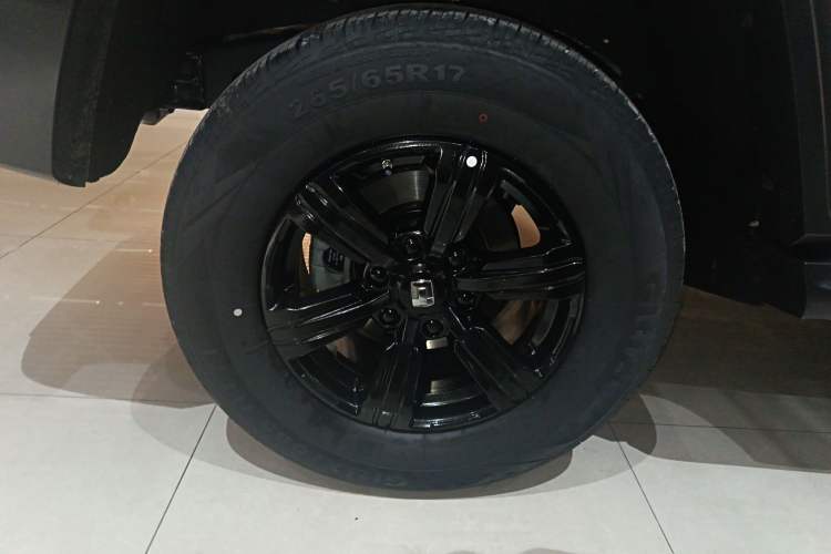 Used Tank 300 2025 2.0T Conqueror
