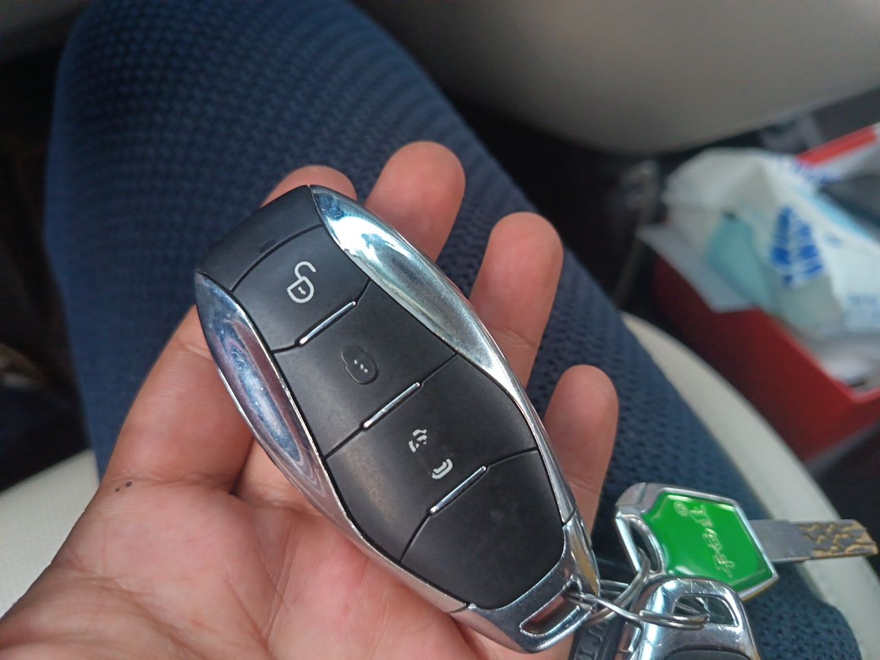 Hongqi HQ9 2023 2.0T Smart Connect Flagship Edition - Chinese Trim Ling — снимка 20