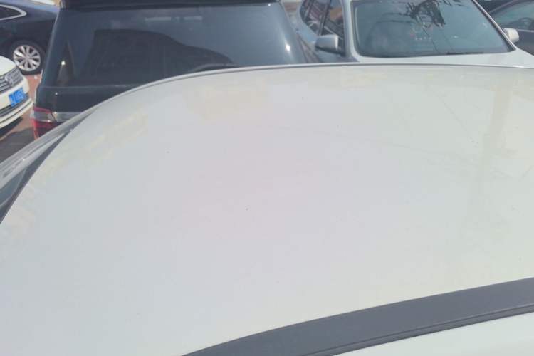 Used NETA V 2021 Standard Range Version